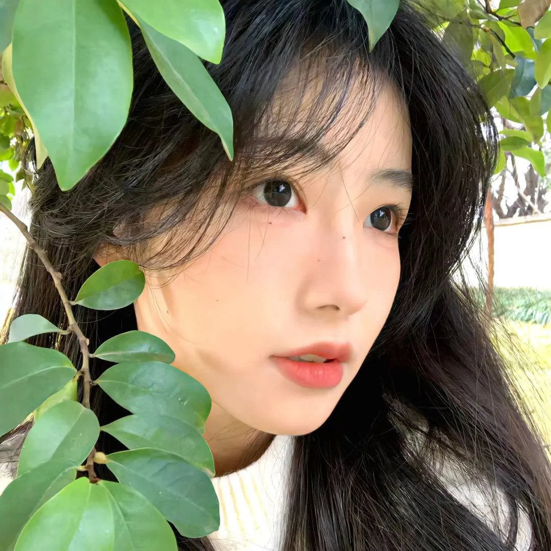 哥哥的下午茶
